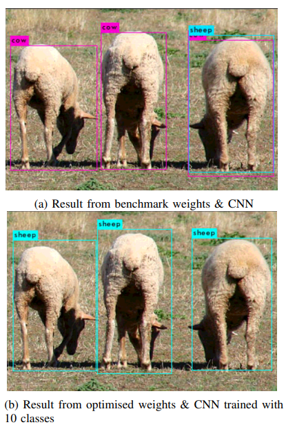 Sheep Labelling Image Dataset